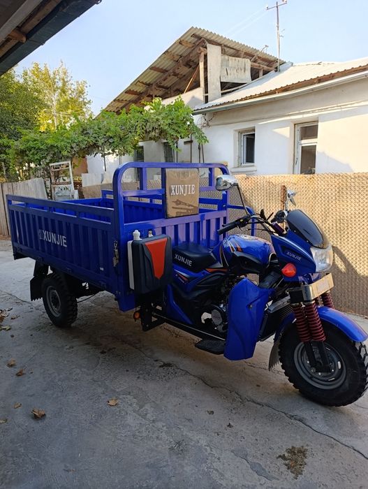 xunjie продается