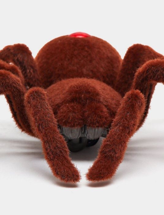 Радиоуправляемый "Паук"