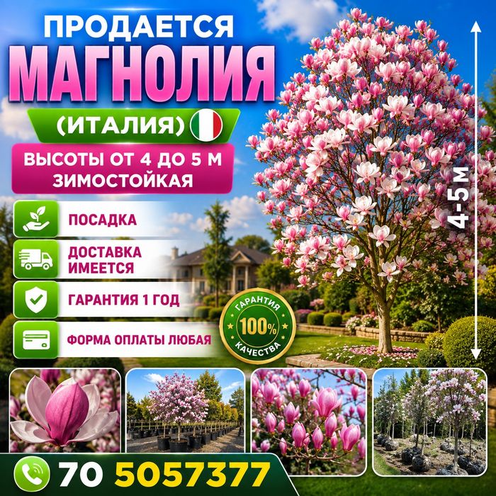 Продается Магнолия (Италия)