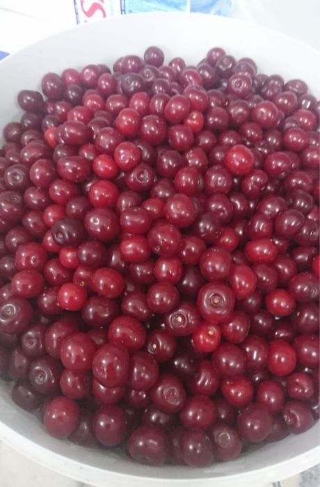 Гүлдер тұқымы, семена Цветов