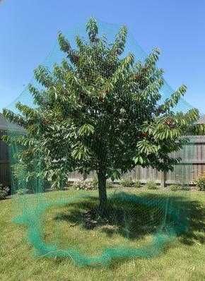 Сетка защитная от птиц