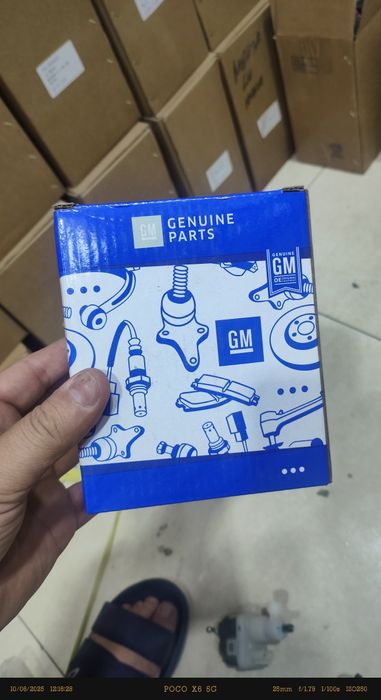 Nexia 1 Fara matorchigi