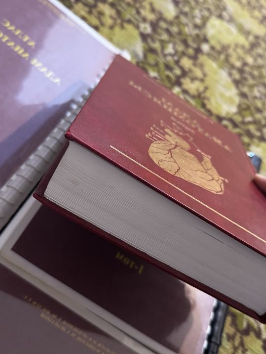 Адам анатомиясы Анатомия джумабаев