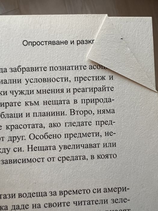 Уаби Саби Бет Кемптън