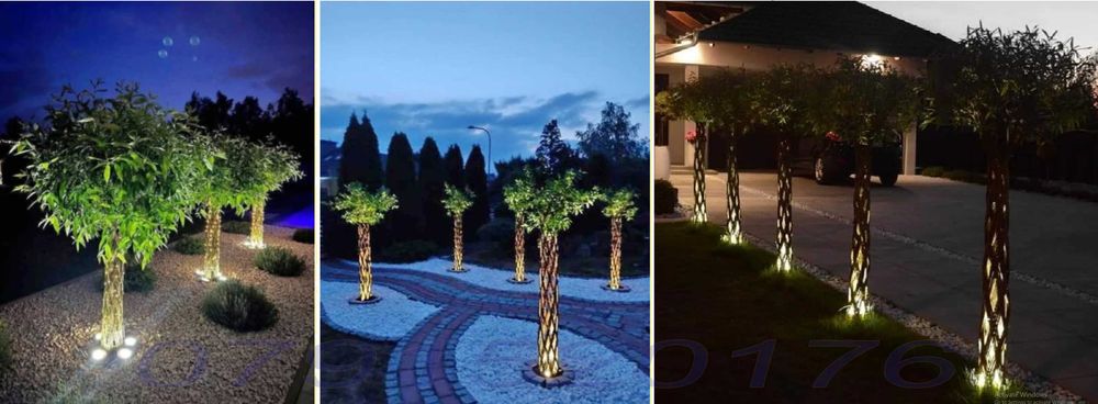 Salcie Salix americana tulpina impletita la ghiveci Posibilitate cumparare angro! Documente fiscale + Garantie + Inaltimi intre 140 - 300cm...