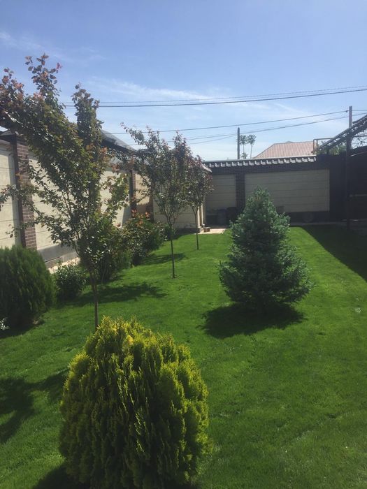 Газон, авто палив