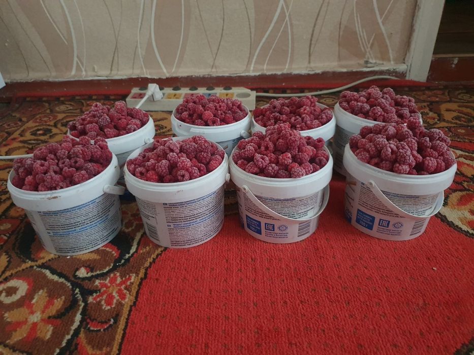Малина свежемороженная без ГМО