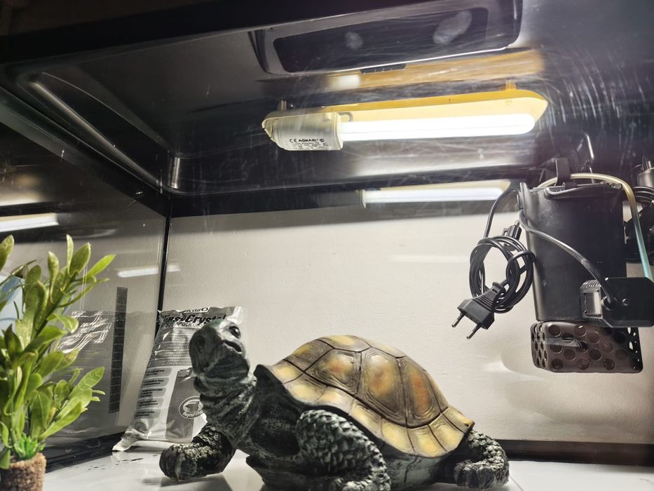 Acvariu complet,  60 cu 30 cm. Plus cadou!!!