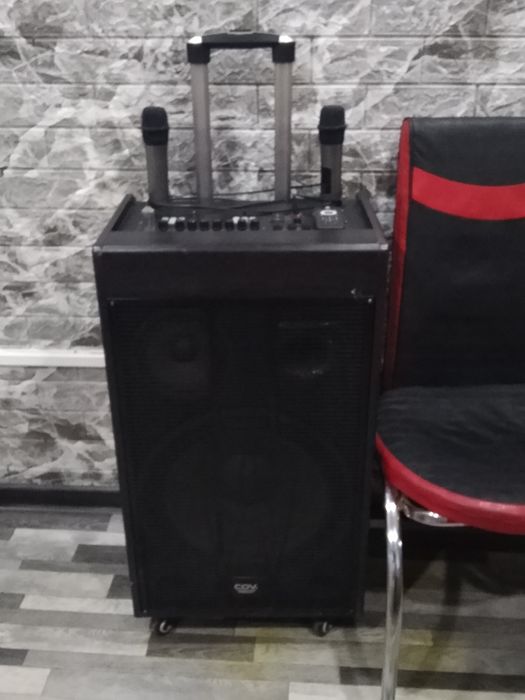 Колонка Cov xiowei audio professional