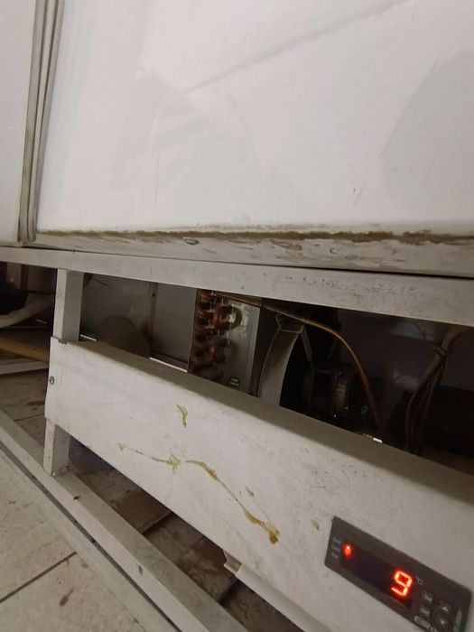 Muzlatgich haladenlik 3talik hohlasangla 1 tasini olasilar