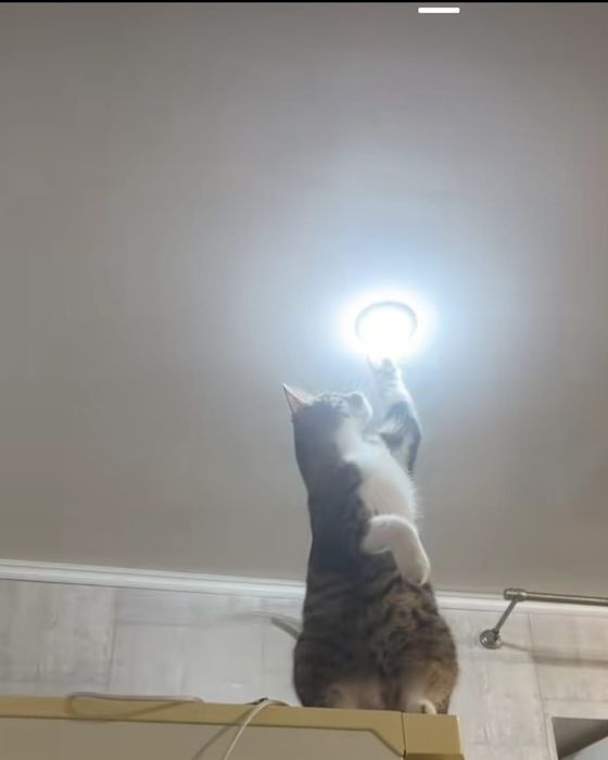 Натяжные потолки . Пришол замерил натянул!!!