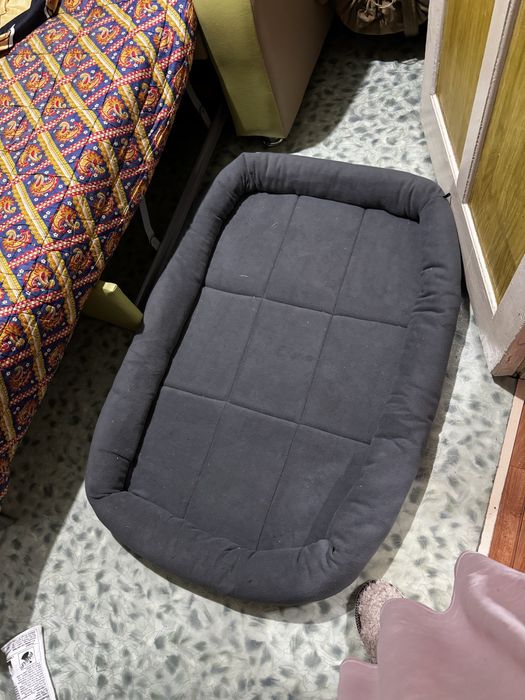 Продам щенка немецкой породы