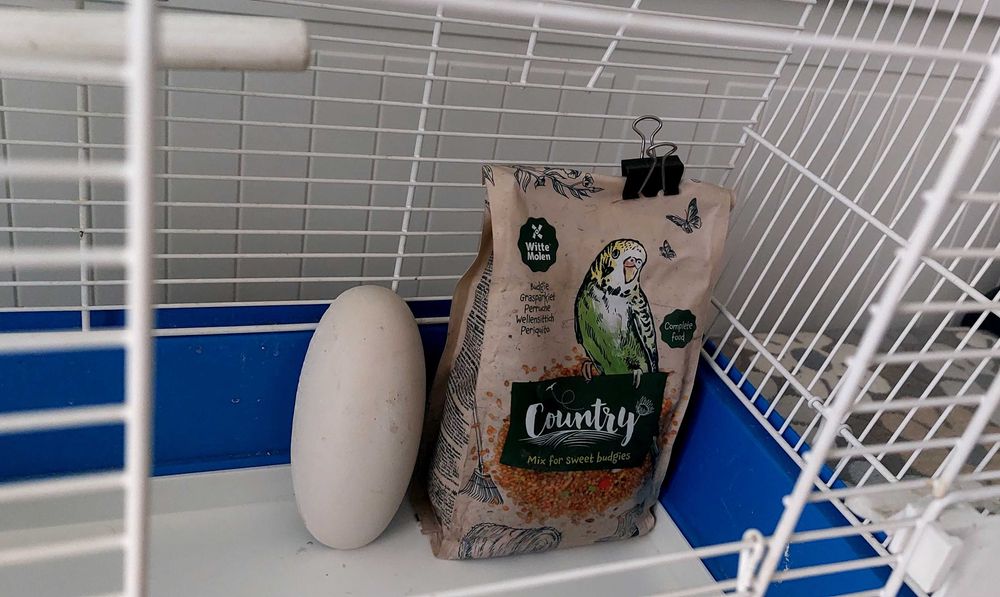 Клетка за папагал