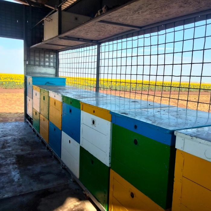 Продам пчелопавильон комплект!