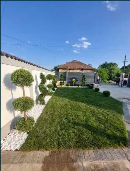Amenajări Curți cu Gazon Rulou – Livrare Rapidă și Montaj