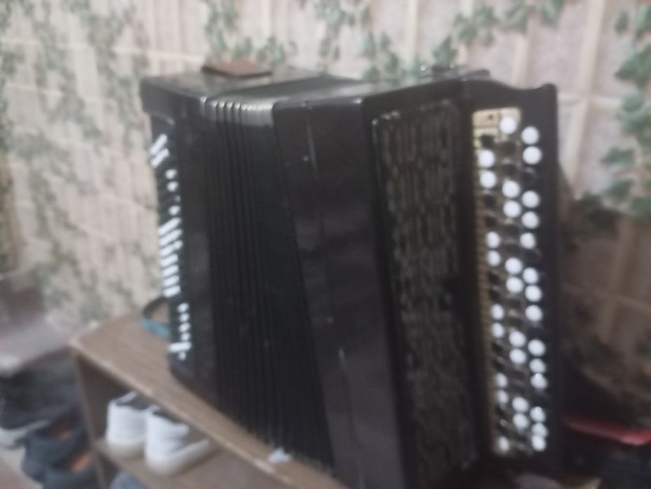 Баян музыкальный инструмент