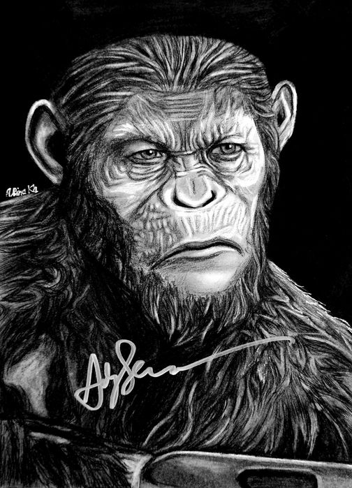 Принимаю заказы на портрет