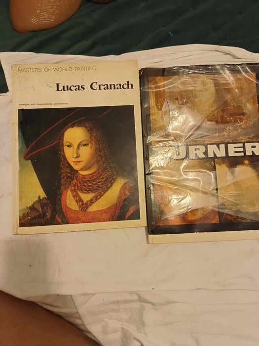 Vând ambele  cărți album