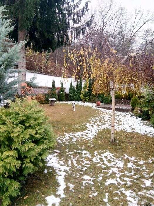 Поддръжка на малки зелени площи