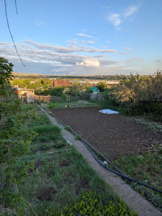 Дача, общество Природа