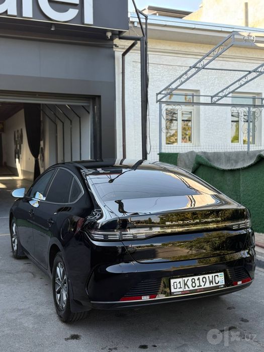 Byd Chazor hybrid  55luxe