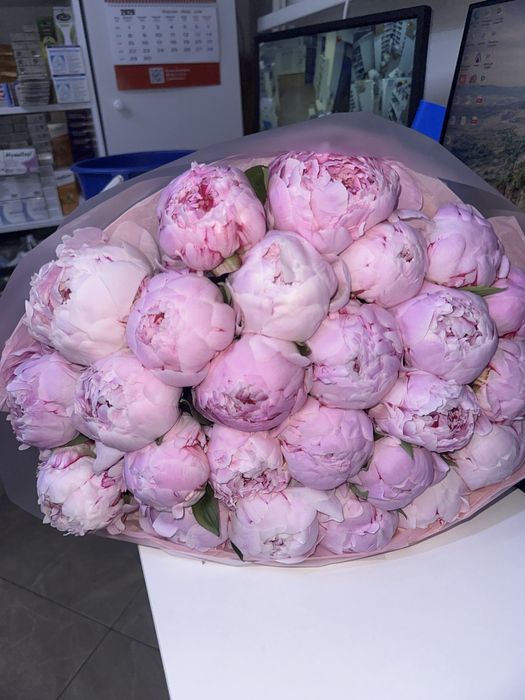 цветы пионы 25шт