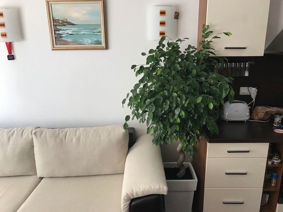 Дава се под наем Двустаен апартамент в София, Манастирски ливади - 65 кв.м за 612 € - Снимка #3