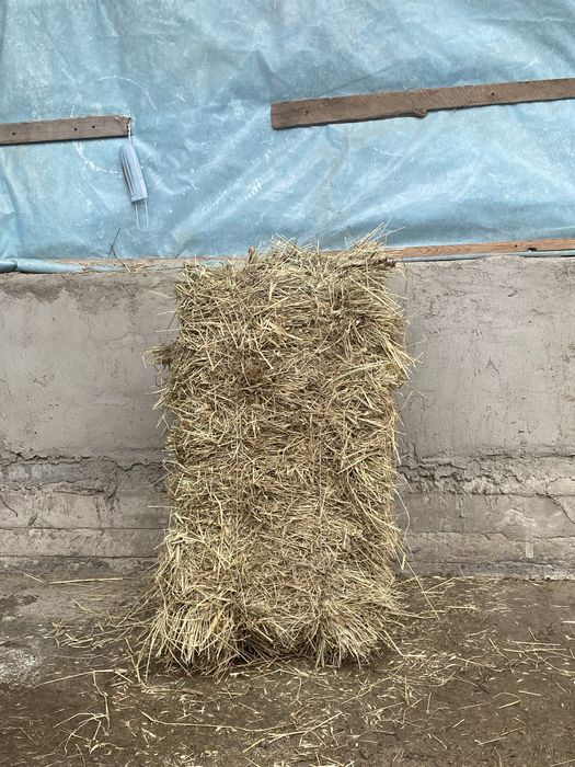 Табиғи шөп гарантия