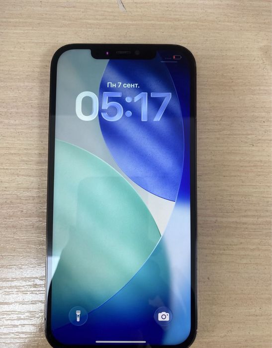 Apple 12 pro max