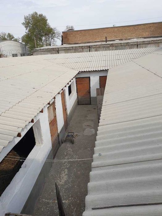 Продается дом на земле