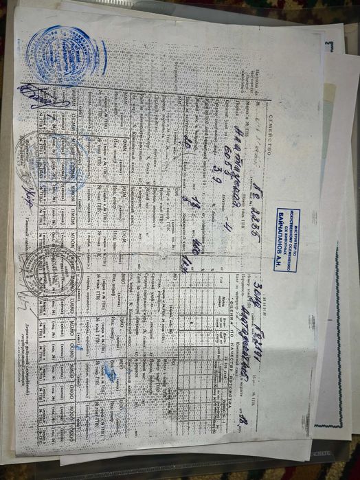 Алатау бұқа сатылады