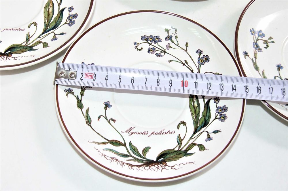 Set 8 farfurii Botanica Villeroy & Boch cu flori de "Nu ma uita", NOU