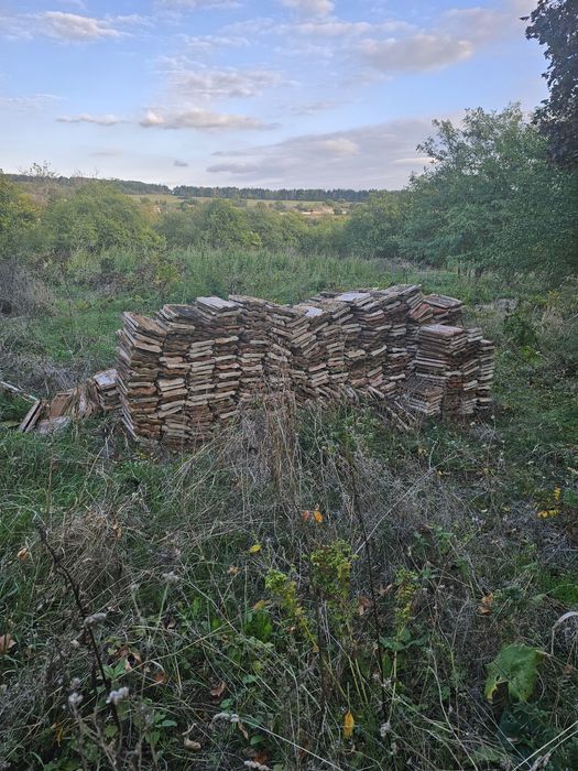 Продава се Парцел в с. Желязковец, Област Разград - 8142 кв.м за 7 €/кв.м - Снимка #1