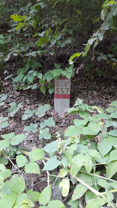 2 PĂDURi 3,3 HA, 1700 m2