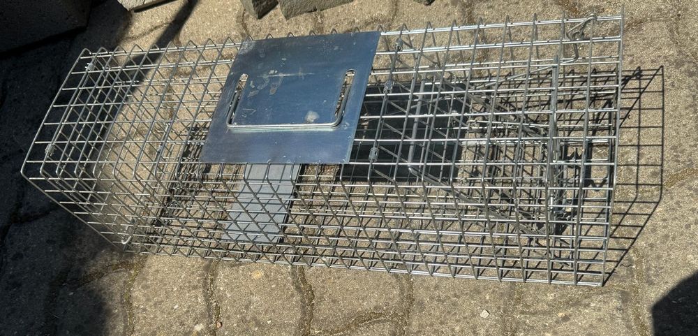 Capcana Sobolani Windhager