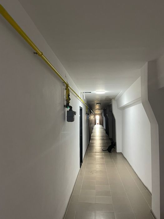 Fabrica de produse congelate Complex industrial de vânzare – oportunitate de investiție