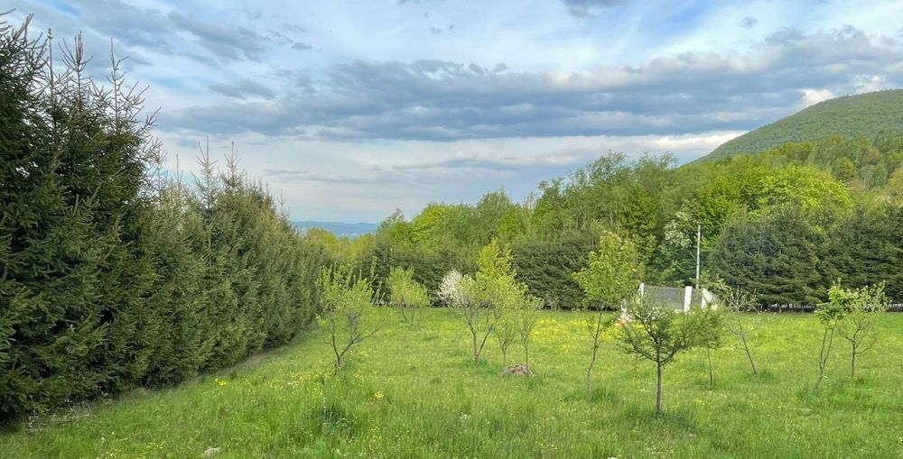 Vând teren intravilan sau schimb cu apartament in Sighet sau Baia Mare+diferenta din partea mea