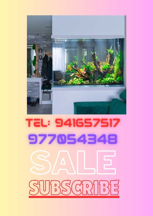 Akvarium zakaz istalgan kattalikda bo'lishi mumkin,Akvarium sotuvi.