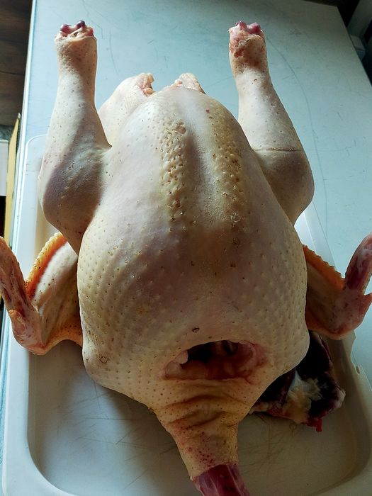 В продаже тушки индейки