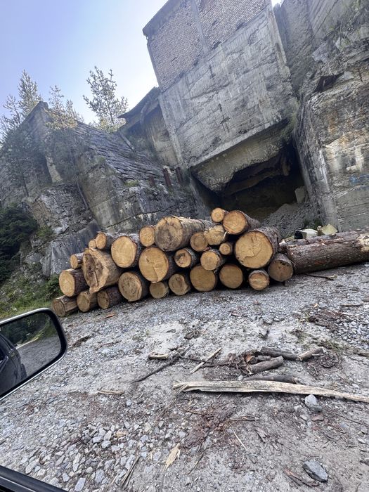 Услуги с мини багер 3т, бобкат самосвал