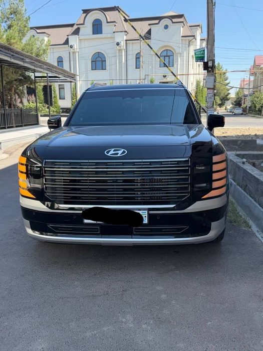 Hyundai palisade calligraphy full