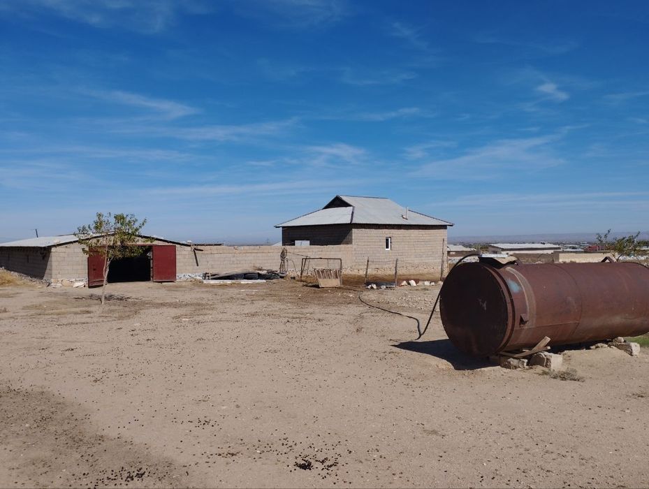 Участка сотилади срочно.
6 сотих.
2 хонали паталок килинган уй.
22 м г