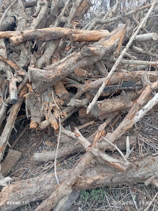 Oʻ'tin sotiladi kelish turib beramiz