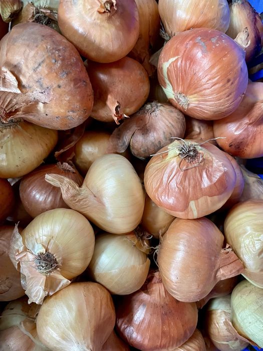 Vând ceapă galbenă pentru consum