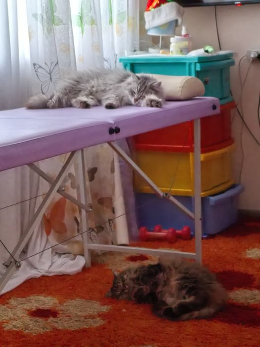 Оздоровительный.