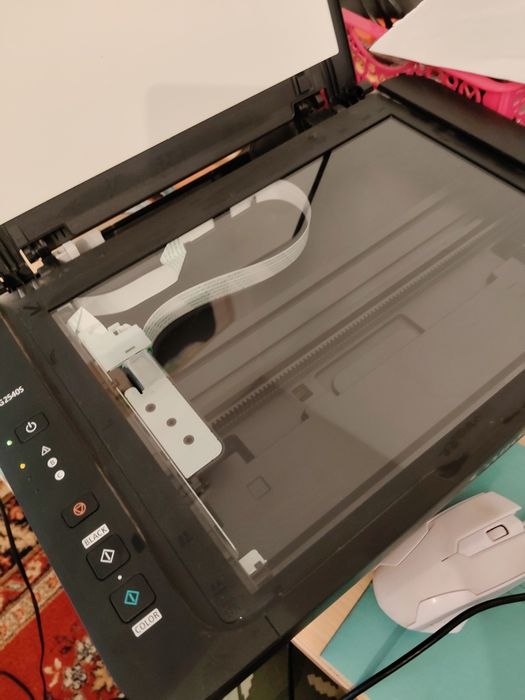Принтер Canon MG2500