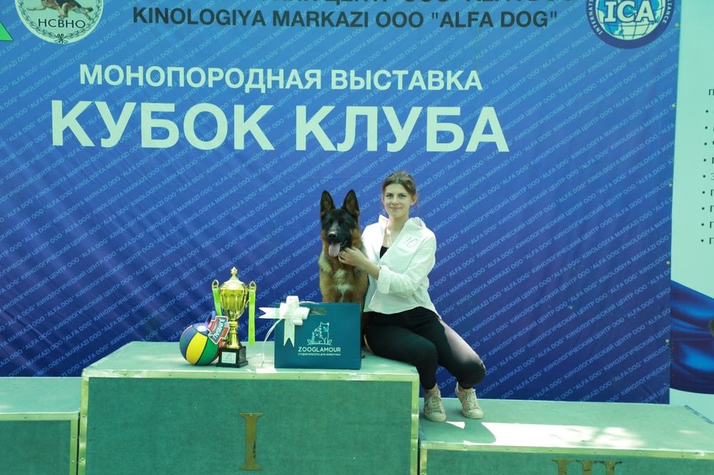 Кинолог ‐ дрессировка собак
