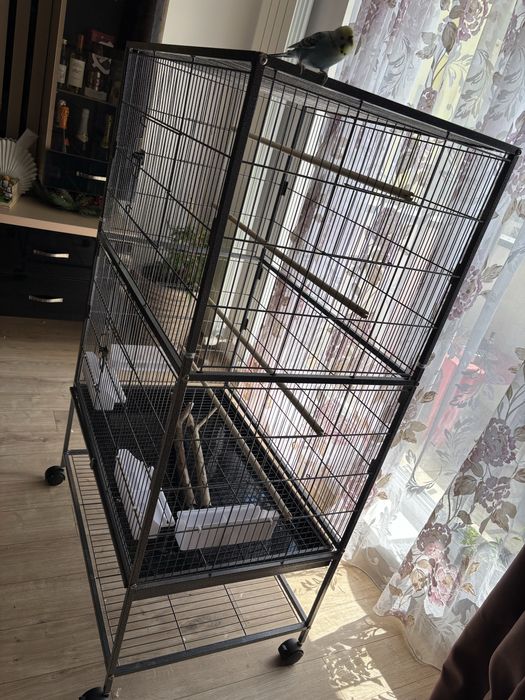 Cuşcă de papagali 78x52x132cm