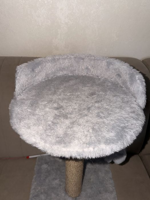 Когтеточка для кота