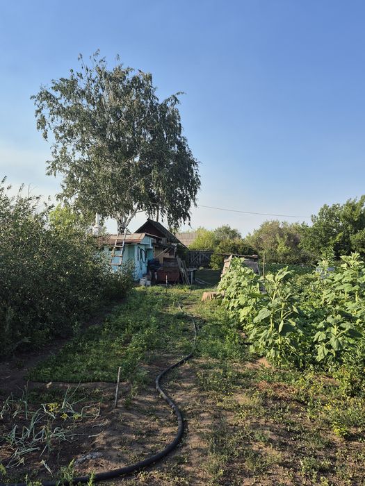 Дача плодородная